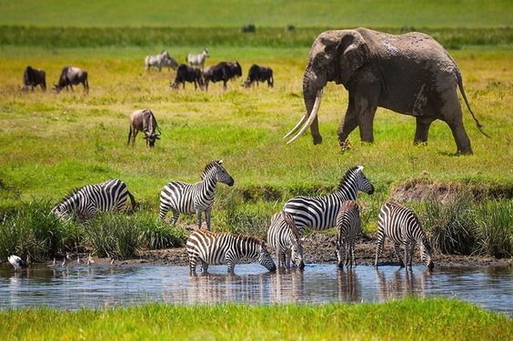 Etosha National Park in the wet season